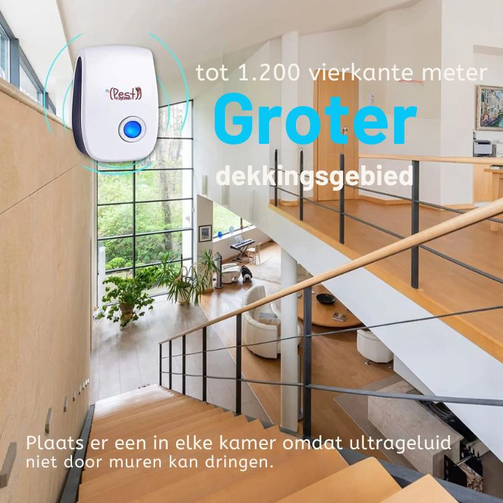 PestAway Beskytt ditt hjem på en naturlig måte | Skanto