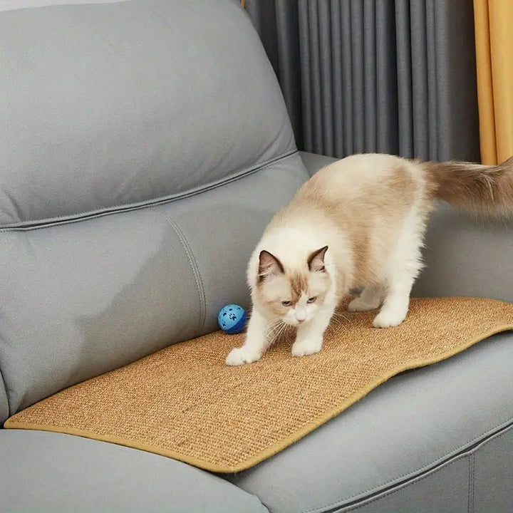 Skanto | Moderne katte kloremøbel for klovpleie og leke moro