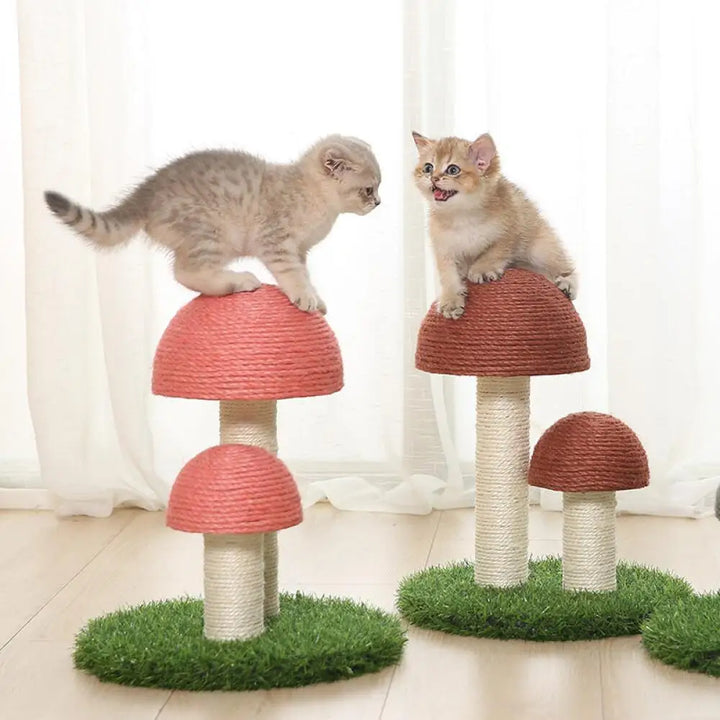 Sisal Katt Soppskrapepost Skanto