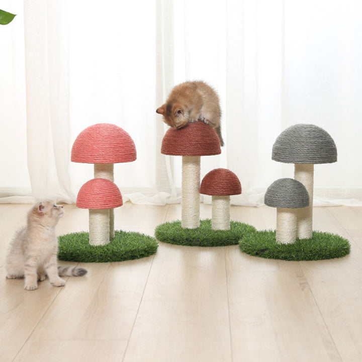 Sisal Katt Soppskrapepost Skanto