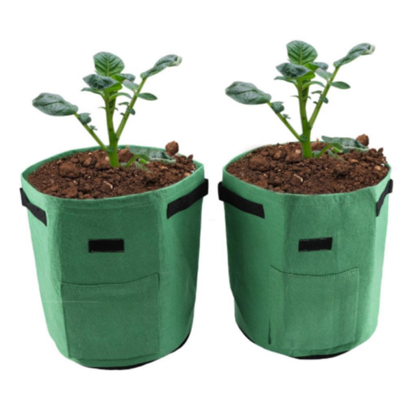 Skanto | Potato Plant Bag
