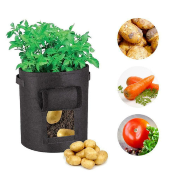 Skanto | Potato Plant Bag