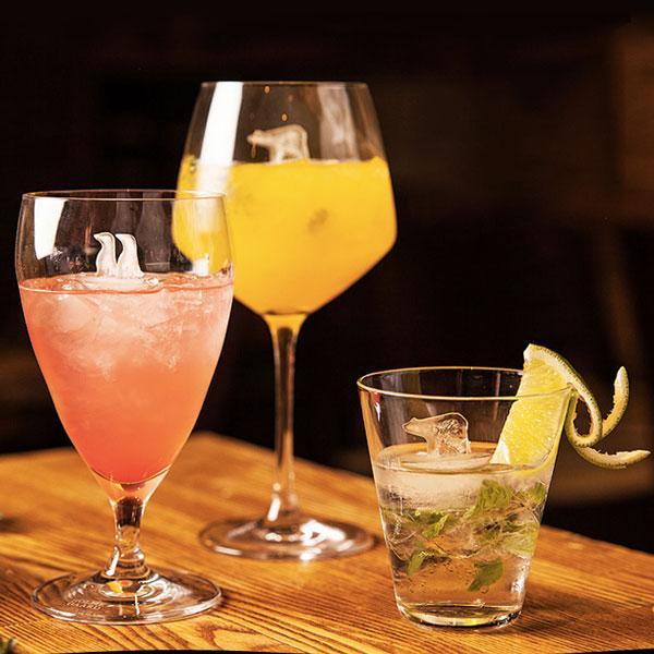 Polar Bear Penguin Isformer (Sett av 2) | Skanto
