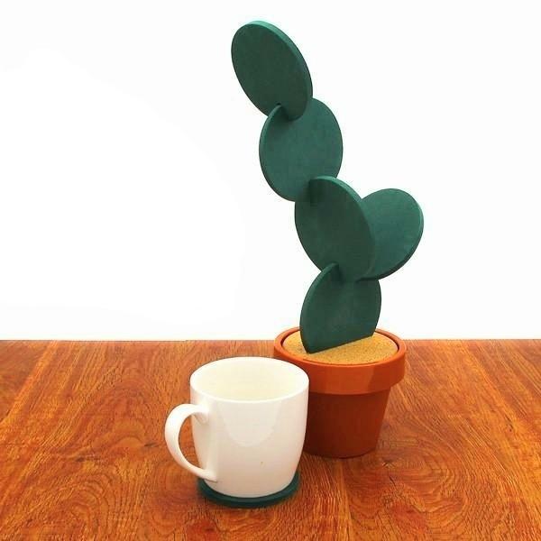 Potted Kaktus Coastere | Skanto