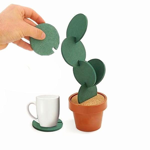 Potted Kaktus Coastere | Skanto