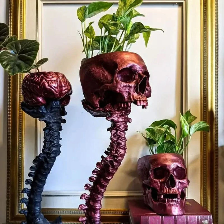 Skanto | BoneBloom | Planter med Hodeskalle og Ryggsøyle
