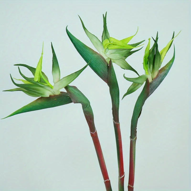 Skanto | Floriva 3 Delt Sett Kunstige Strelitzia | Papegøye Blomster | 24,5 cm Lange Stengler | Dekorasjon for Hjem, Kontor & Arrangementer