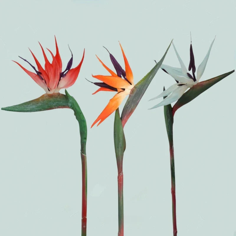 Skanto | Floriva 3 Delt Sett Kunstige Strelitzia | Papegøye Blomster | 24,5 cm Lange Stengler | Dekorasjon for Hjem, Kontor & Arrangementer