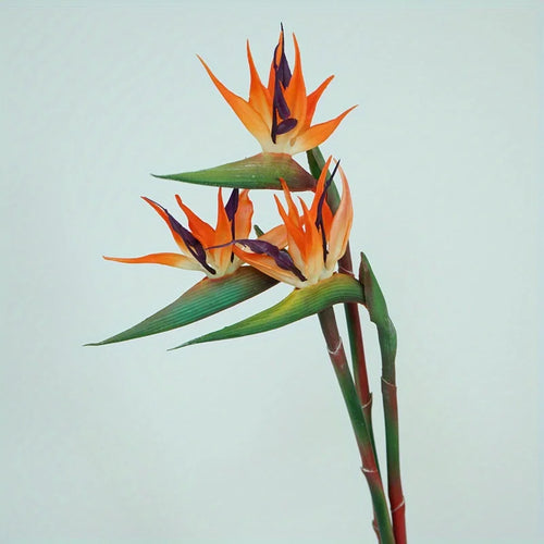 Skanto | Floriva 3 Delt Sett Kunstige Strelitzia | Papegøye Blomster | 24,5 cm Lange Stengler | Dekorasjon for Hjem, Kontor & Arrangementer