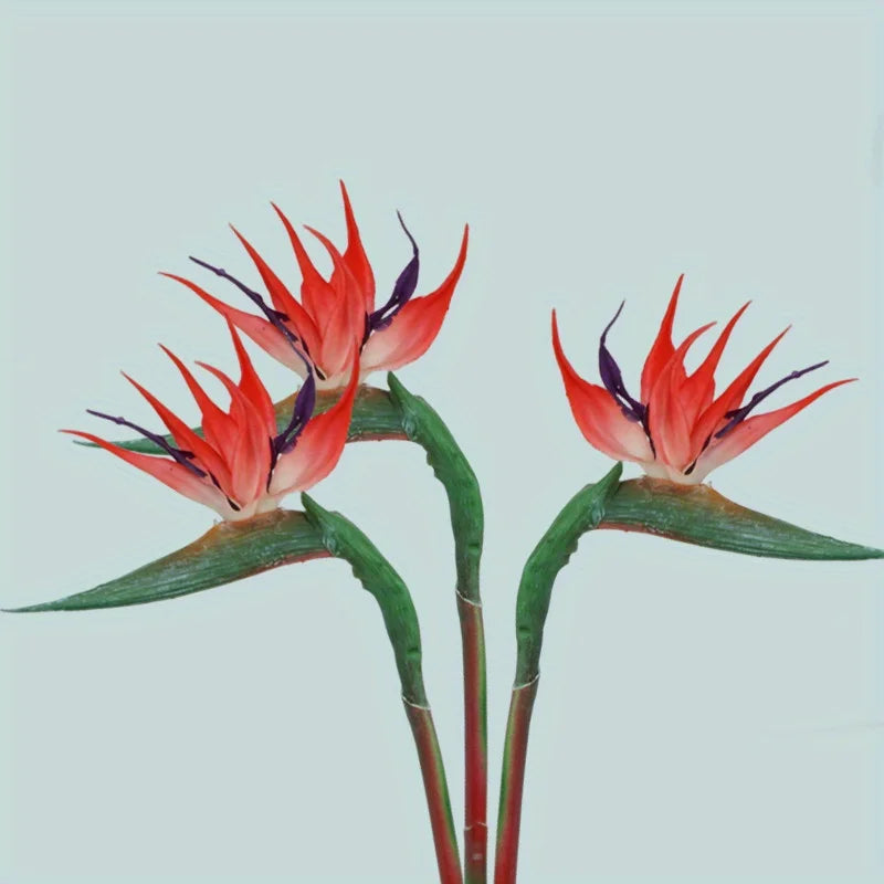 Skanto | Floriva 3 Delt Sett Kunstige Strelitzia | Papegøye Blomster | 24,5 cm Lange Stengler | Dekorasjon for Hjem, Kontor & Arrangementer