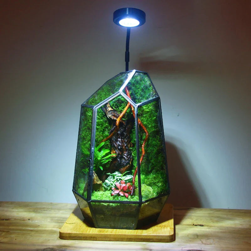 Moderne Geometriske Natur-Inspirerte Botaniske Terrarium | Skanto