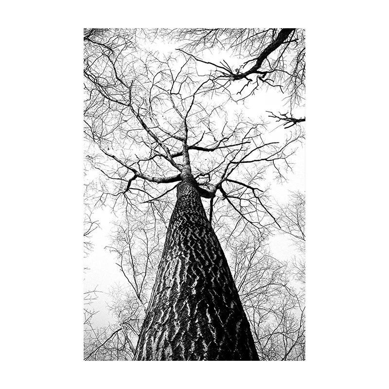Northern Wilderness Eagle Deer Landscape Wall Art Fine Art Canvas Prints Pictures For Living Room Dining Room Nordic Home Decor | Skanto