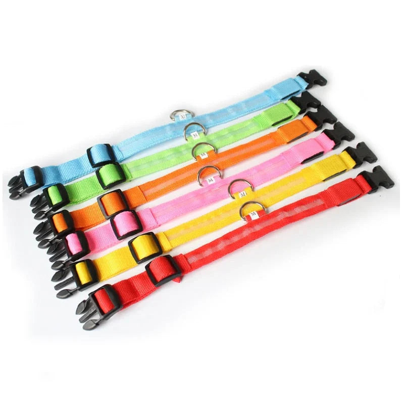GlowCollar LED – BrightPaws Skanto