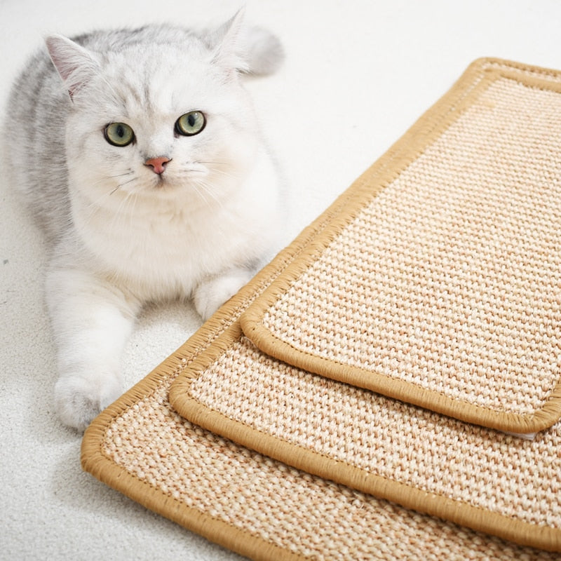 Skanto | Sofa Katt Klore Møbel Beskyttelse Matte