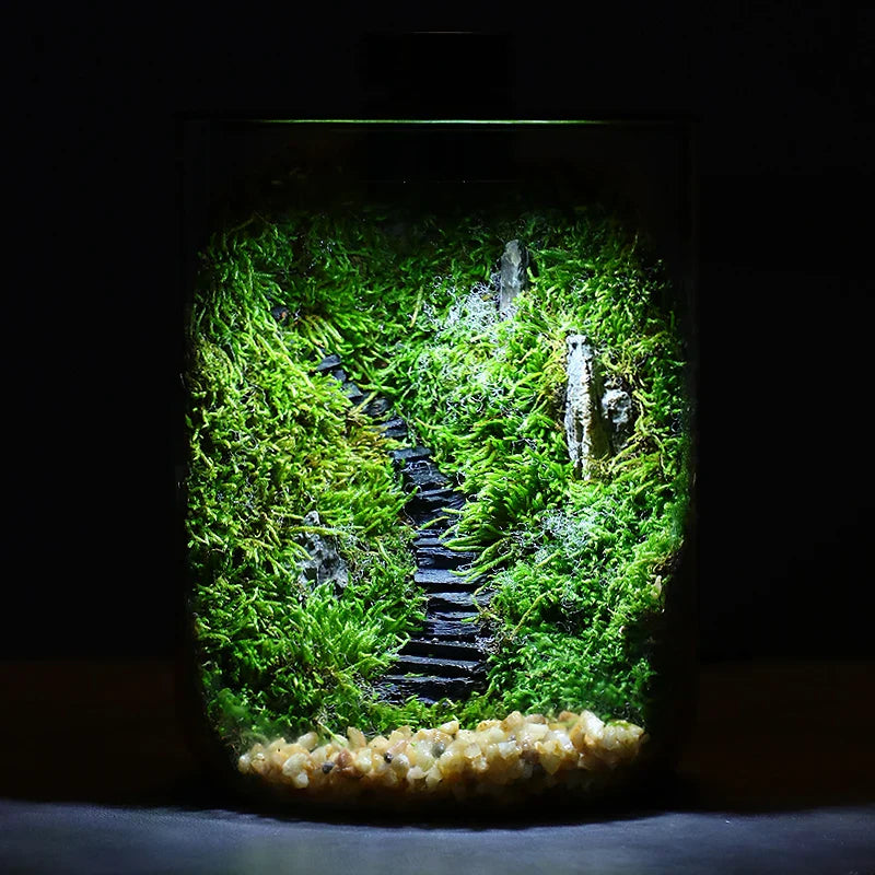 Skanto | Mini Forest Maker Terrarium Dekor Vase