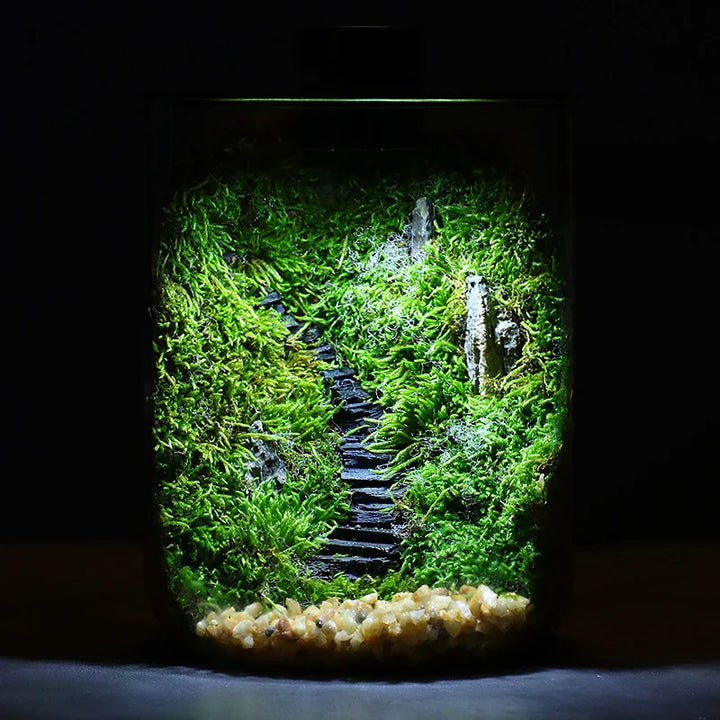 Skanto | Mini Forest Maker Terrarium Dekor Vase