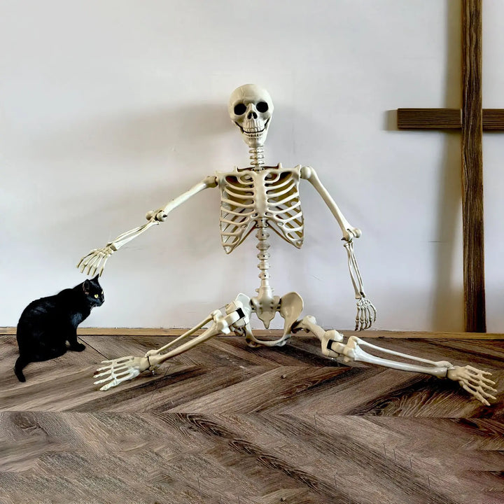 Skanto | Flyttbar menneskelig skjelett 90–165 cm — realistisk dekorasjon for Halloween og skrekkfester