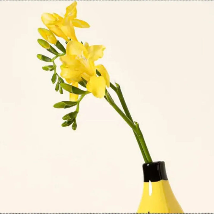 Banana Vase | Skanto