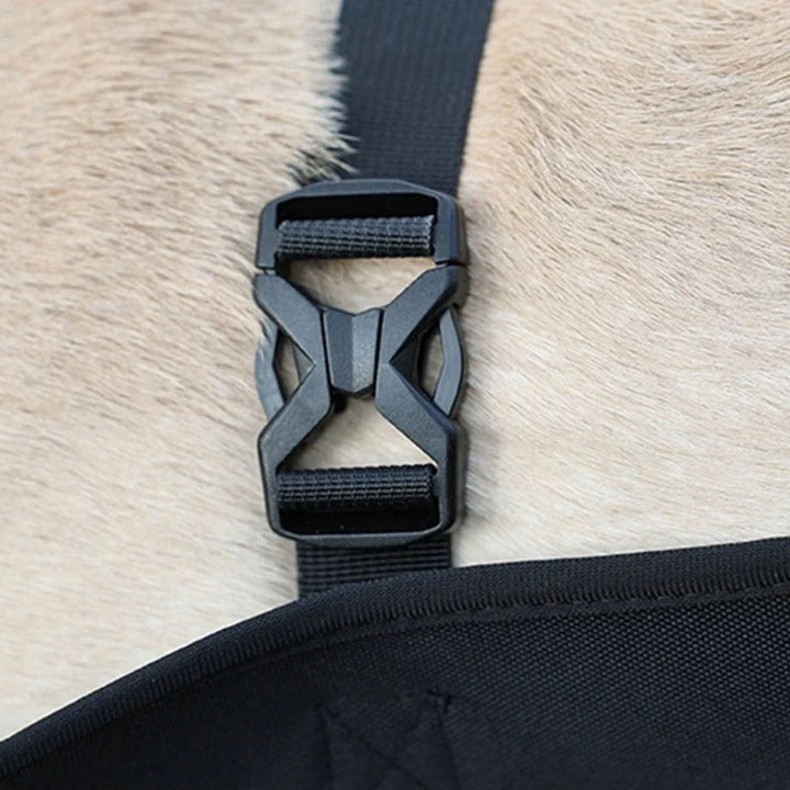 Reha-Hund Sele med Stabilt BæreHåndtak Skanto