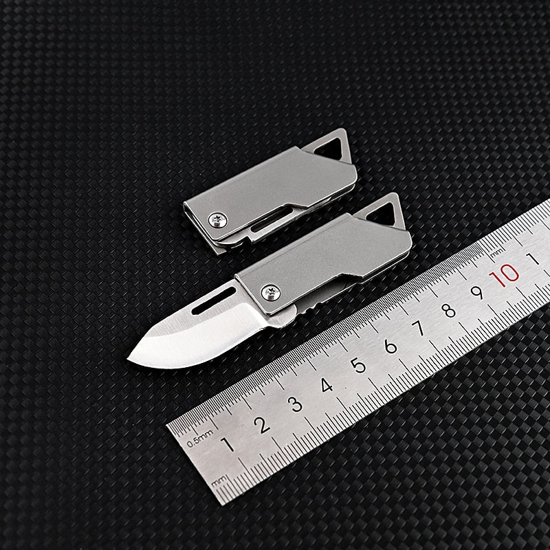 Foldbar Master Rustfritt Stål Overlevelses Mini Kniv | Skanto