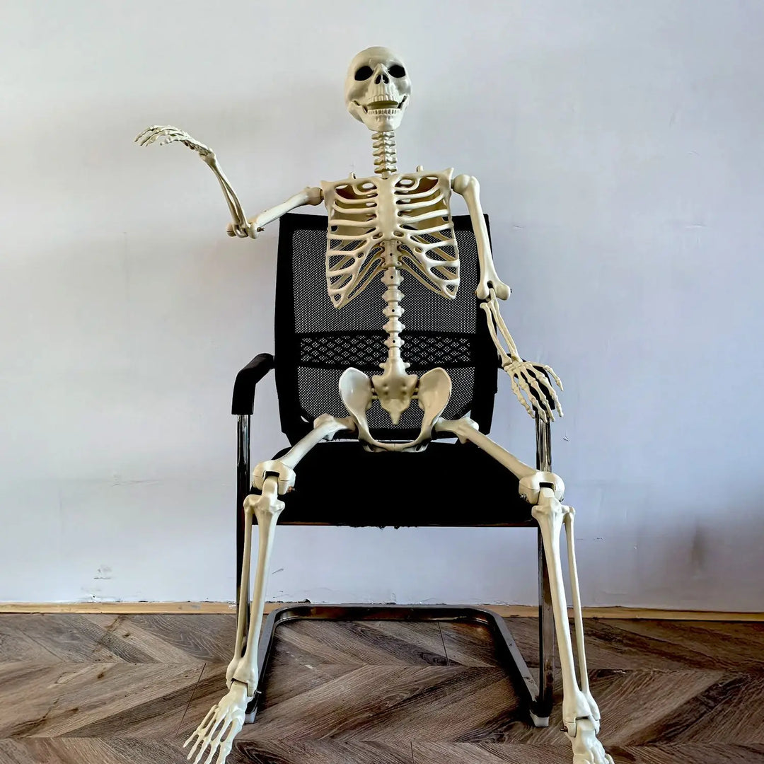 Skanto | Flyttbar menneskelig skjelett 90–165 cm — realistisk dekorasjon for Halloween og skrekkfester
