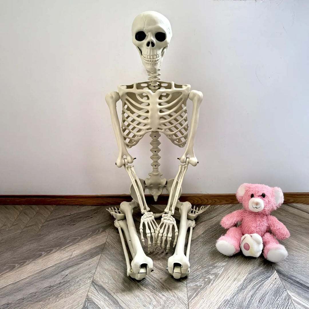 Skanto | Flyttbart menneskelig skjelett 90–165 cm — realistisk dekorasjon for Halloween og horrorfester