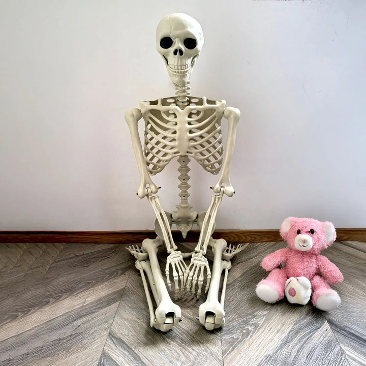 Skanto | Flyttbart menneskelig skjelett 90–165 cm — realistisk dekorasjon for Halloween og horrorfester
