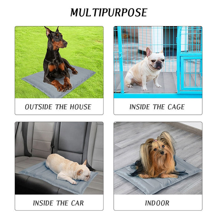 Summer Zone Pet Cooling Mat | Skanto