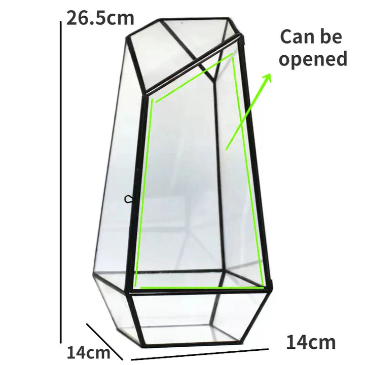 Moderne geometrisk, inspirert av naturen botanisk terrarium | Skanto
