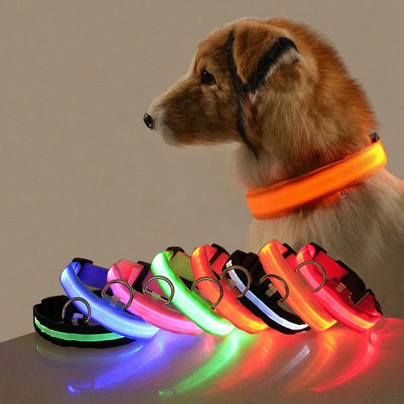 GlowCollar LED – BrightPaws Skanto