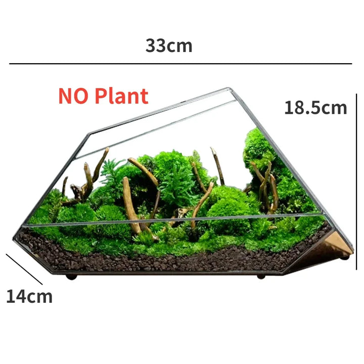 Geometrisk glassmoos-plantekasse terrarium-vase | Skanto