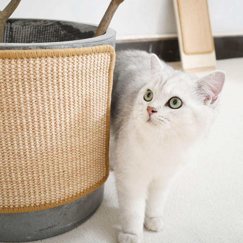 Skanto | Sofa Katt Klore Møbel Beskyttere Matte