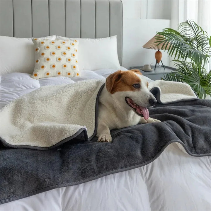 Skanto | Vanntett Kjæledyrteppe PawProof | For Hunder & Katter | Koselig & Slitesterk