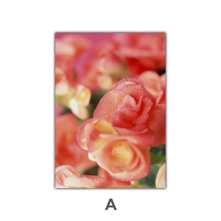 Rosa Røde Roser Blomster Veggkunst Fine Art Lerret Utskrifter Moderne Botaniske Plakater Bilder For Stue, Soverom Kunst Dekor | Skanto