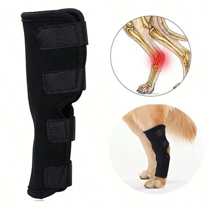Felles støtte for hunder stabilisering & beskyttelse Skanto