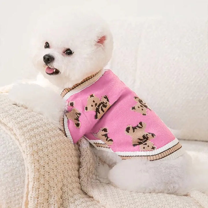 Hundekardigan laget av strikket varmt og stripet Skanto
