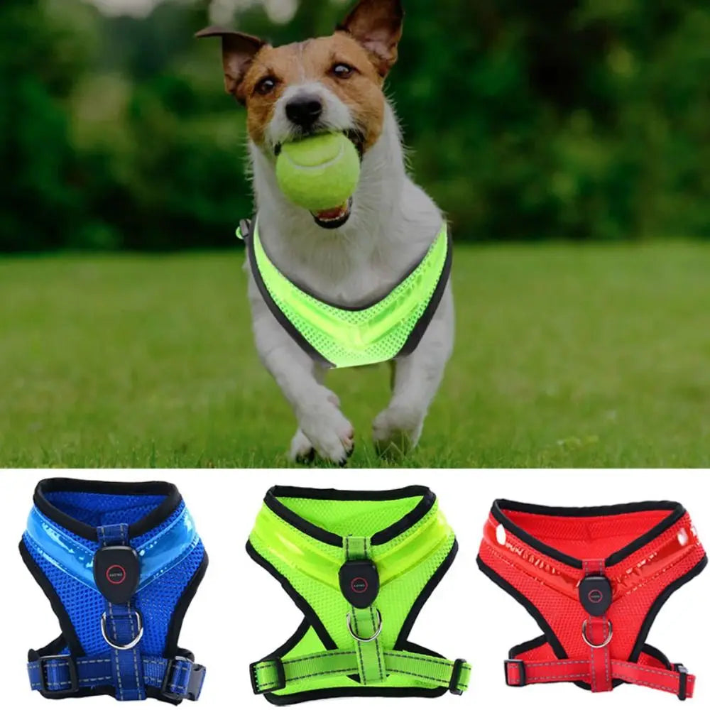 LED Hundesele USB oppladbar og justerbar Skanto