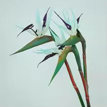 Skanto | Floriva 3 Delt Sett Kunstige Strelitzia | Papegøye Blomster | 24,5 cm Lange Stengler | Dekorasjon for Hjem, Kontor & Arrangementer