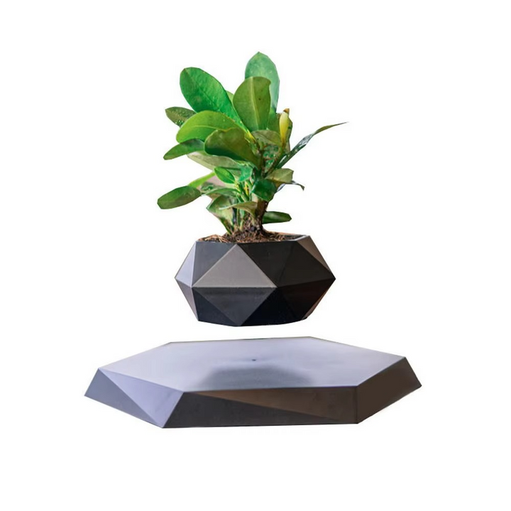 Skanto | Magnetisk svevende Bonsai Plantekrukke, Flytende Blomsterkrukke for Hjem og Kontor Dekor