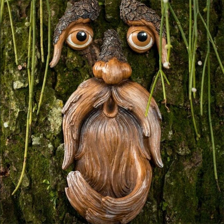 Skanto | Eyes of Nature: Tre Ansikt Fugl Matestasjon