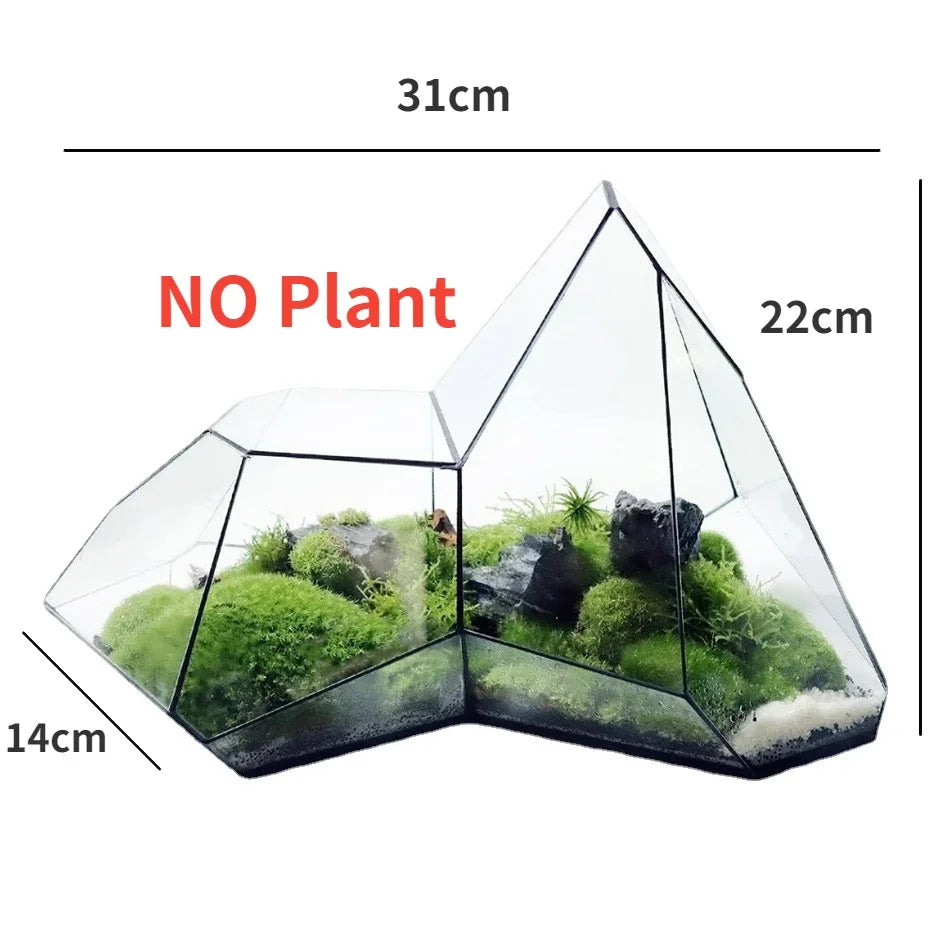 Geometrisk glassmoos-plantekasse terrarium-vase | Skanto