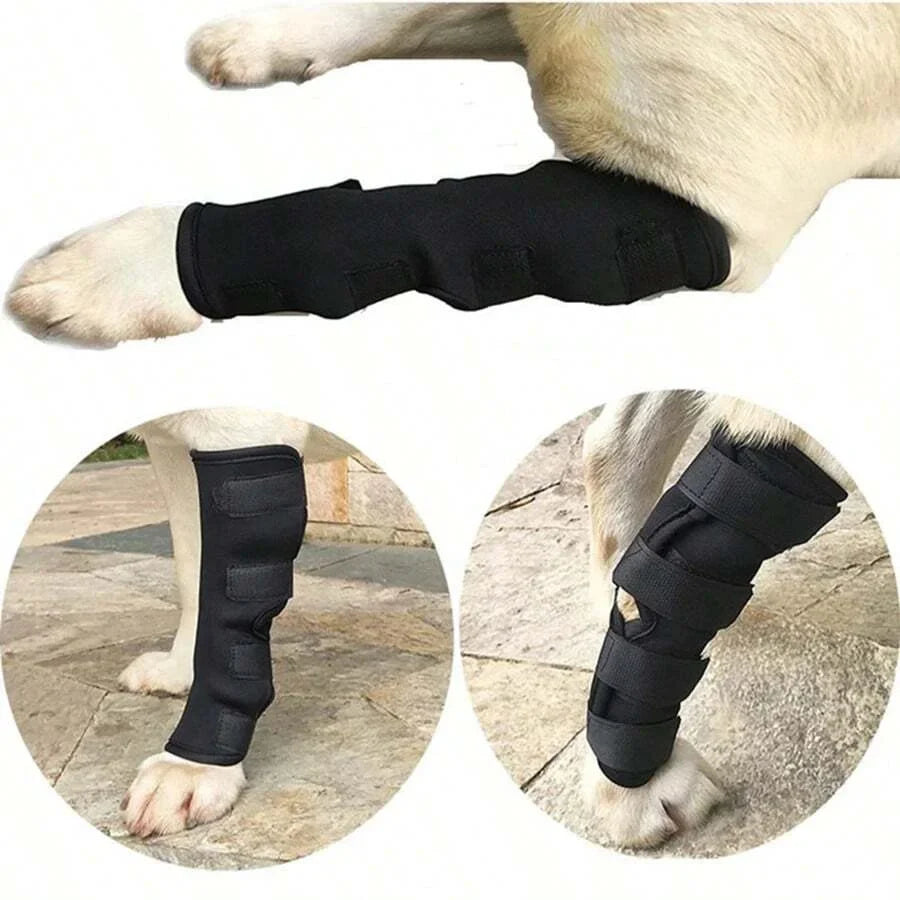 Felles støtte for hunder stabilisering & beskyttelse Skanto