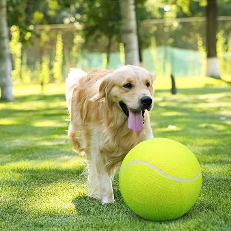 Ekstra stor tennisball for hunder Skanto