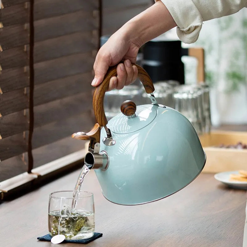 Skanto | 1 stk 2.5/3 l liter kjele laget av rustfritt stål, tykkelse kjele, gass induksjonskomfyr, universell kjele, kjele