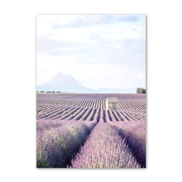 Provence Landskap Purpur Lavendel Bilder av rolig vegkunst Fine Art lerretsutskrifter Galleri veggbilder for stue Kunst Dekor | Skanto