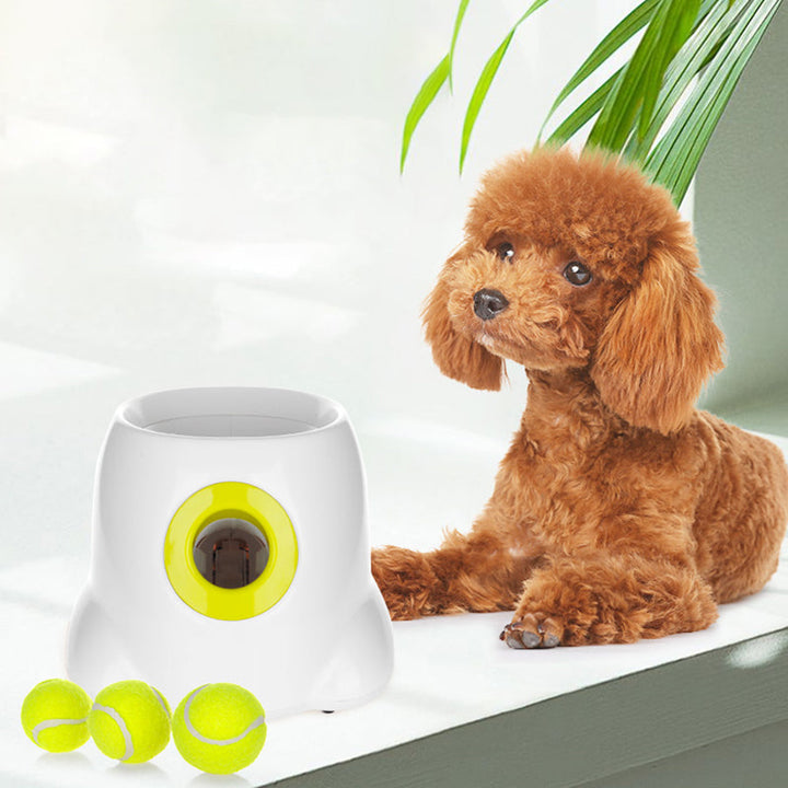 PetLaunch | Skanto