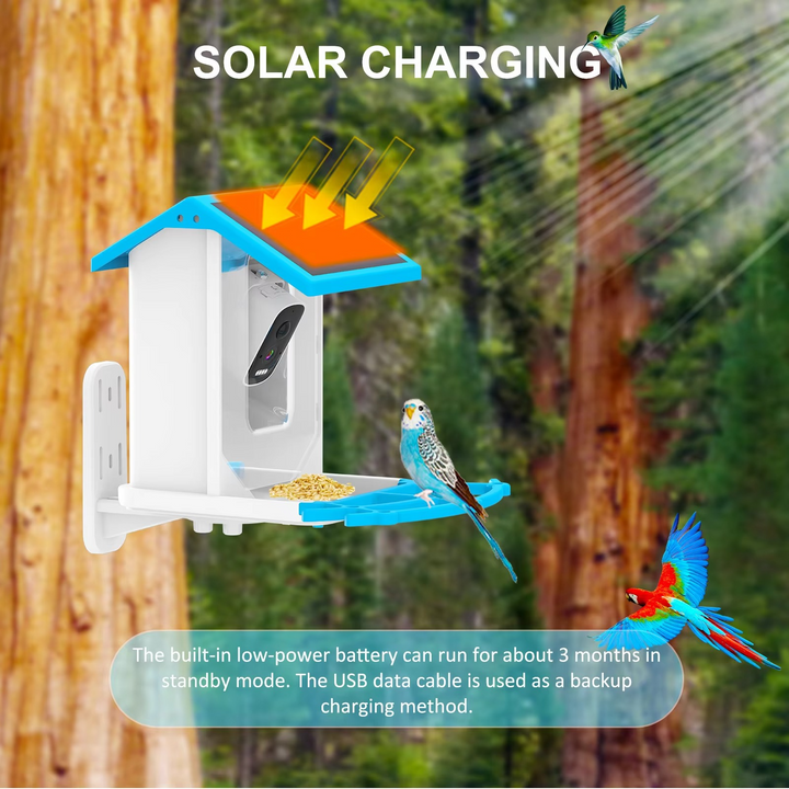 Skanto | Solcelledrevet smart fuglemater med HD AI-kamera