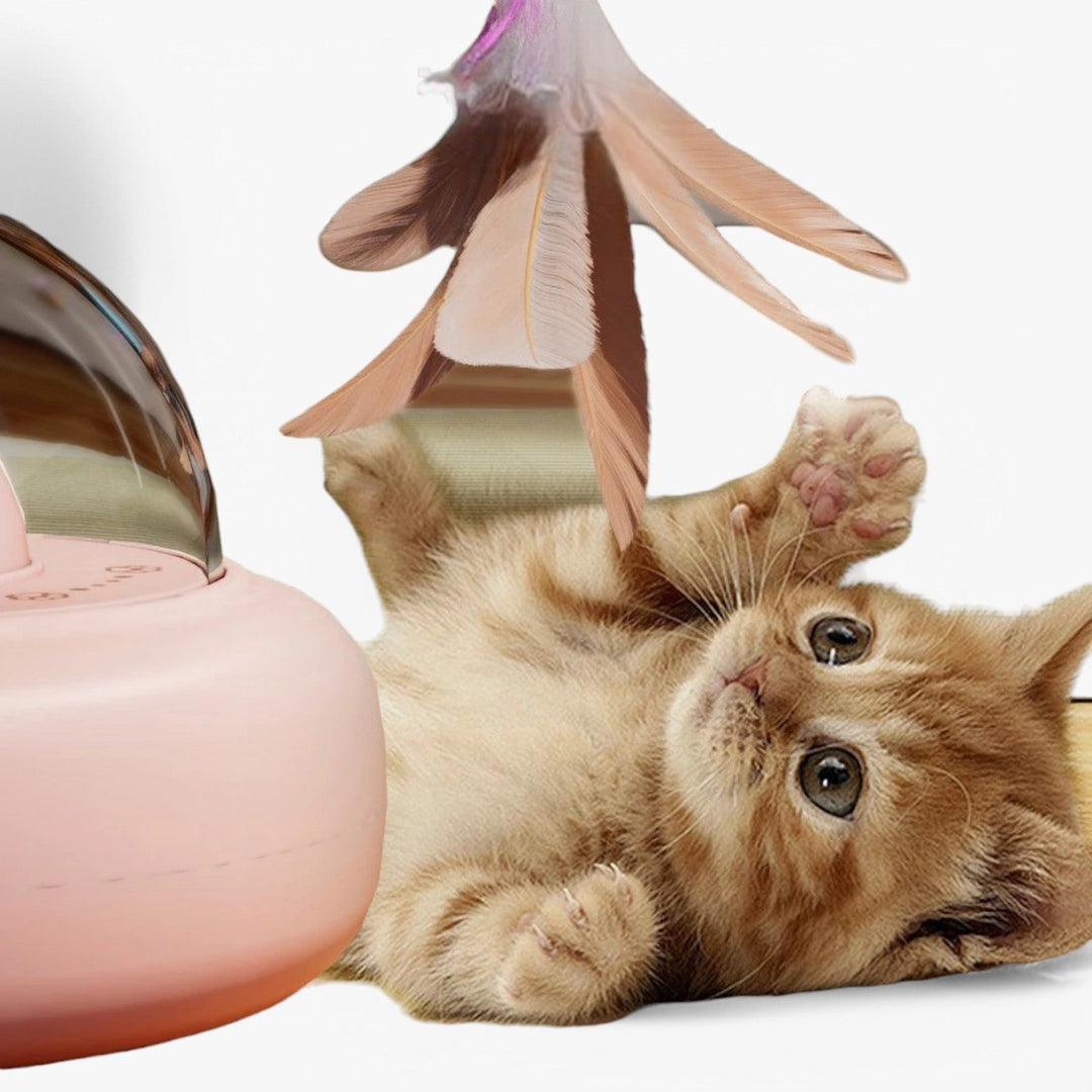 Smart Cat Laser "Hunting Light" med regnbuefunksjon og USB-ladingsfunksjon | Skanto