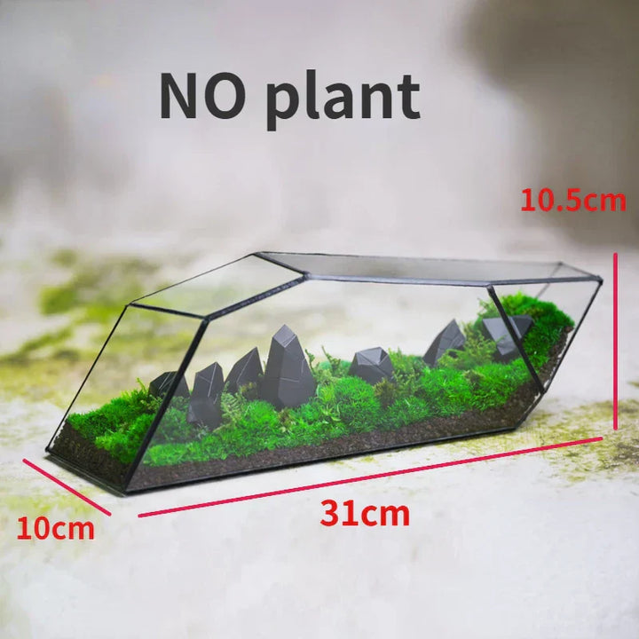Geometrisk glassmoos-plantekasse terrarium-vase | Skanto