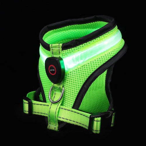 LED Hundesele USB oppladbar og justerbar Skanto